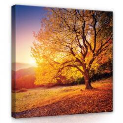 Consalnet Őszi dombos vidék, vászonkép, 80x80 cm méretben (C5-12640O2)