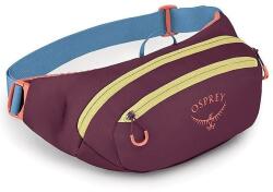 Osprey Daylite Waist Pack (10006306)