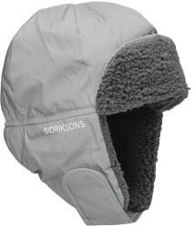 DIDRIKSONS Biggles Refl 50