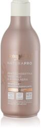 Bottega Verde Zenzero sampon fortifiant pentru păr 250 ml