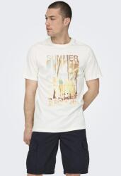 Only & Sons Only & Sons, Organikuspamut póló, Barna, Törtfehér, Világoskék, 2XL (22029454-CLOUD-DANCER-SUMMER-XXL)