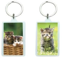  3D Macskás akril kulcstartó (CO372413)