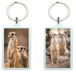 Bear Toys 3D Szurikáták akril kulcstartó (CO377142)