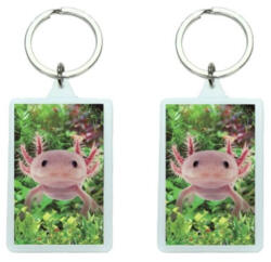 Bear Toys 3D Axolotl akril kulcstartó (CO377135)