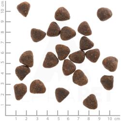 Wolfsblut Wide Plain Adult 2 x 12, 5 kg