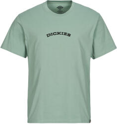 Dickies Tricouri mânecă scurtă Bărbați DICKIES OUTDOOR SS TEE Dickies verde EU S
