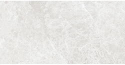 Mexen Lizard Ezüst, fényes, rektifikált mázas gres minta G1, padló-fali burkolólap 120 x 60 cm - TL109-03-S (TL109-03-S)