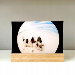 Focus Nordic AB Fotótartó állvány 10x15 világos fából (7391879046149)