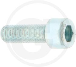 Granit Parts Surub M10 profil interior hexagonal (485912 10X030 08V 4410544, 9045316241, 9045311095, 904531139, 0502143, 0999933, 0029125017, 0161445,)