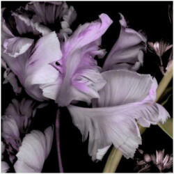 ERISMANN Virágmintás fekete-lila színárnyalatú Vlies tapéta Fashion for walls 4 2555N71 2555N71 (2555N71)