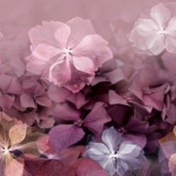 ERISMANN Virágmintás rózsaszín színárnyalatú vlies tapéta Elle Decor 2267-10 2267-10 (2267-10)