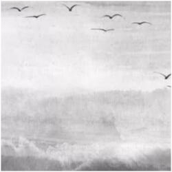 NOVAMUR Madár mintás szürke színárnyalatú Vlies tapéta Kylie 81628 81628 (81628)