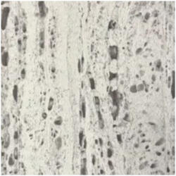 MARBURG Márvány Mintás szürke színárnyalatú Vlies Tapéta TRAVERTINO/MARBURG 33352 33352 (33352)