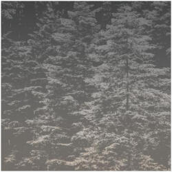 ERISMANN Erdő mintás fekete színárnyalatú Vlies tapéta Fashion for walls 4 2553N72 2553N72 (2553N72)