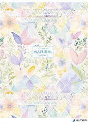 Shkolyaryk Publishing House Füzet, tűzött, A5, vonalas, 80 lap, SHKOLYARYK "Natural", vegyes (A5-080-5240L) - alter