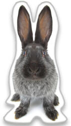  Nyuszis Grey formapárna, díszpárna 22x36 cm