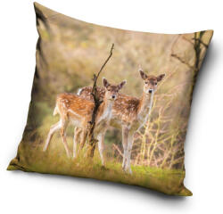 Szarvasi Forest párnahuzat 40x40 cm