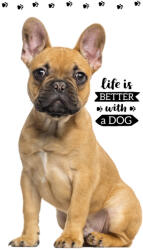  Kutyás Friend kéztörlő arctörlő, törölköző 30x50cm