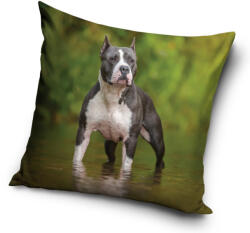  Kutyás Amstaff párnahuzat 40x40 cm