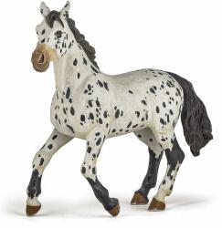 Rase de Cai si Ponei PAPO FIGURINA IAPA APPALOOSA NEAGRA (Papo51539) Figurina