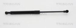 TRISCAN Amortizor capota TRISCAN 8710 11124 (8710 11124) - fixbox