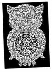 Colorvelvet Bársony Kifestőkönyv Colorvelvet A4 Bagoly (CVCM6)