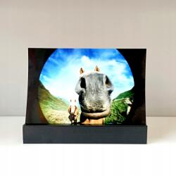 Focus Nordic AB Fényképtartó állvány fekete 15 cm (7391879046125)