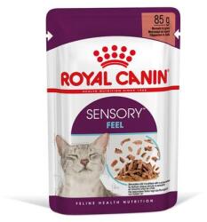 Royal Canin Sensory Feel Gravy (12*85G) macskatáp