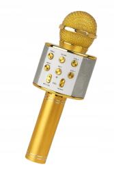 Lewer Karaoke (RONMIC-2)