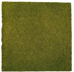  Kókuszháttér terráriumokhoz - 50 x 50 cm