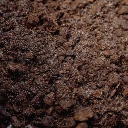 TERRABLOOM All-Purpose Substrate 5 L