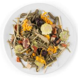 Witte Molen PUUR Chinchilla & Degu - ínyenc müzli csincsilláknak és deguknak 500 g