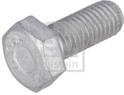 Febi Bilstein Surub, disc frana FEBI BILSTEIN 199134 (199134) - automobilus