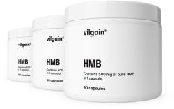 Vilgain Multipack 3 pièces - HMB -⁠ 500 mg hidroximetil-butirát kapszulánként, étrend-kiegészítő