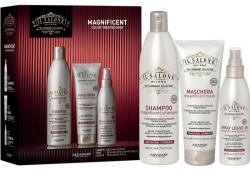 ALFAPARF Milano Il Salone Milano Magnificent Kit ajándékszett festett hajra