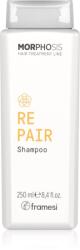 Framesi Morphosis Repair възстановяващ шампоан за суха коса, изтощена коса 250ml