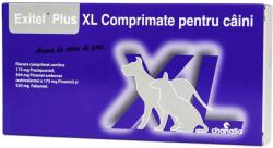  Exitel Antiparazitar intern Caini Exitel plus XL, 1 comprimat
