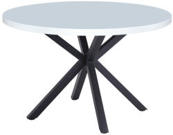 TEMPO KONDELA Étkezőasztal, fehér matt/fekete, átmérő 120 cm, MEDOR (326688)