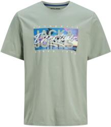 JACK & JONES Colton fotónyomatos póló Világoszöld L INTL