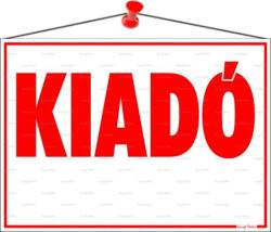  Információs tábla, 35x25 cm, Kiadó (LUIN047) - papirdepo