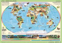 Stiefel Könyökalátét, kétoldalas, STIEFEL Világ állatai (VTK26) - papirdepo