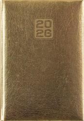 Dayliner Naptár, tervező, A5, napi, DAYLINER, Mirror , arany (NMNAU) - papirdepo