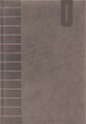 Dayliner Tárgyalási napló, B5, DAYLINER, Tucson , szürke (NTTB5SZ)