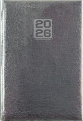 Dayliner Naptár, tervező, A5, napi, DAYLINER, Mirror , ezüst (NMNEU)