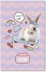 NEBULO Zsebnaptár NEBULO A/6 heti papírborítós Whats UP 2026. TZSN-A6-26-D1 (TZSN-A6-26-D1)