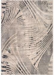 Delta Carpet Covor Dreptunghiular, 58 x 110 cm, Abstract, Model Anny 33017 (ANNY-33017-190-05811) Covor