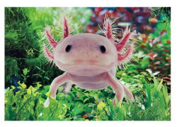 Bear Toys 3D Axolotl hűtőmágnes (CO375827)