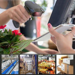 Qoltec 50856 Wireless barcode scanner 1D 2D | 2.4GHz (50856)