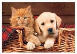 Trefl 37219 - Kutya és cica kosárban - 500 db-os puzzle (37219)