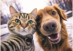 Trefl 37548 - Macska és kutya szelfi - 500 db-os puzzle (37548)